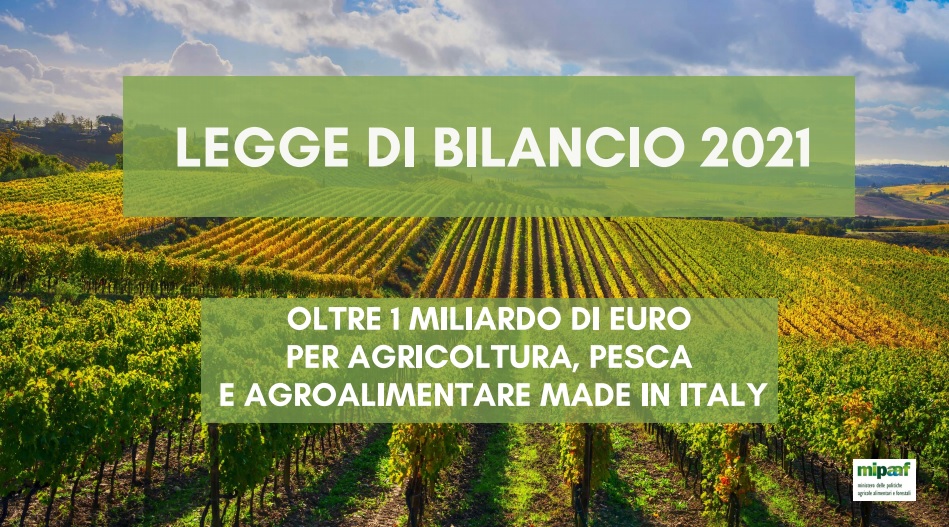 legge bilancio 2021 agricoltura - trsconsulting